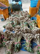 팜모닝 자유주제·자유게시판 게시글 이미지