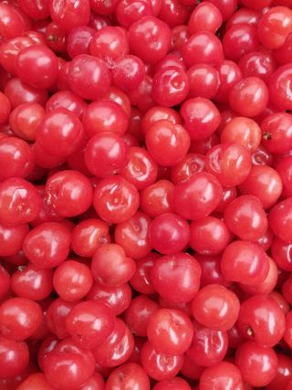 양배추15784님의 자유주제 · 자유게시판 작성글 사진