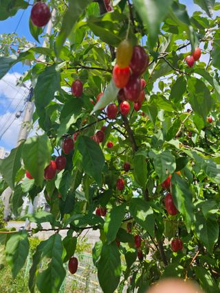 땅끝해남님의 자유주제 · 자유게시판 작성글 사진