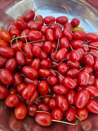 땅끝해남님의 자유주제 · 자유게시판 작성글 사진