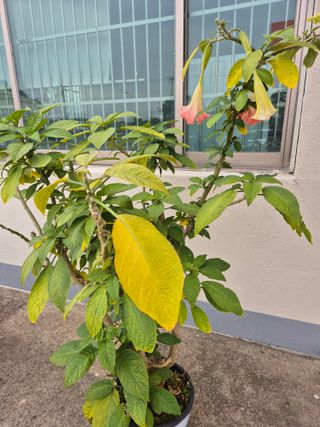 추상엽님의 자유주제 · 자유게시판 작성글 사진