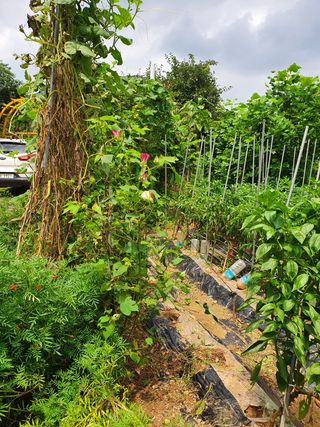 경규홍님의 팜모닝 · 출석 작성글 사진
