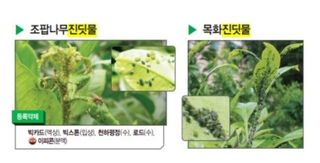 대산농사대장님의 고추 · 비료•농약 작성글 사진