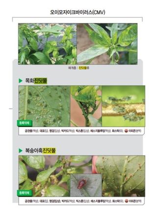 대산농사대장님의 고추 · 비료•농약 작성글 사진