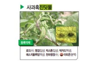 대산농사대장님의 고추 · 비료•농약 작성글 사진