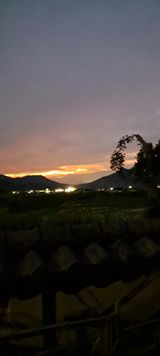 팜모닝 자유주제·자유게시판 게시글 이미지