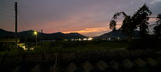 별라님의 자유주제 · 자유게시판 작성글 사진