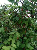 팜모닝 자유주제·자유게시판 게시글 이미지