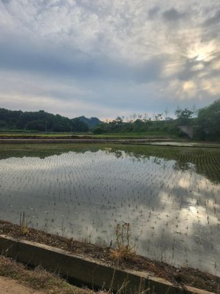 김양례님의 자유주제 · 자유게시판 작성글 사진