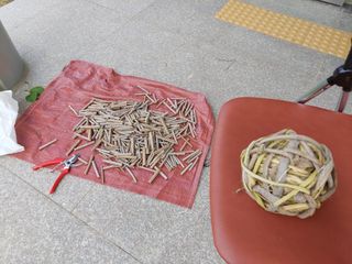 유병욱님의 기타작물 · 영농일지 작성글 사진