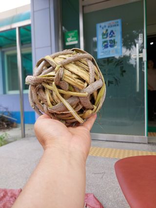 유병욱님의 기타작물 · 영농일지 작성글 사진