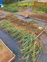 팜모닝 자유주제·자유게시판 게시글 이미지