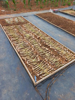 유기농으로키우자님의 자유주제 · 자유게시판 작성글 사진