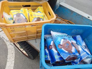 배경수 님의 자유주제 · 자유게시판 작성글 사진