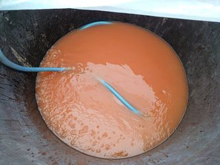 배경수 님의 자유주제 · 자유게시판 작성글 사진