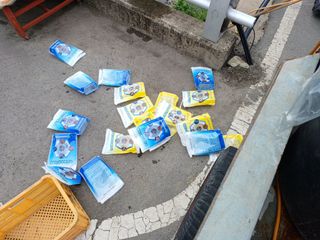 배경수 님의 자유주제 · 자유게시판 작성글 사진