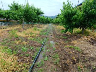 배경수 님의 자유주제 · 자유게시판 작성글 사진