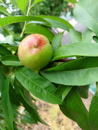 배경수 님의 자유주제 · 자유게시판 작성글 사진