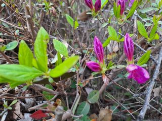 울금박사/빈덕열목사님의 자유주제 · 자유게시판 작성글 사진