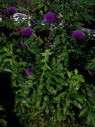 박천심님의 자유주제 · 사진전 작성글 사진