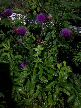 박천심님의 자유주제 · 사진전 작성글 사진