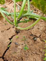 팜모닝 자유주제·자유게시판 게시글 이미지