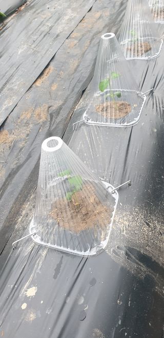 박선화님의 자유주제 · 자유게시판 작성글 사진