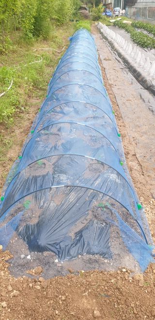 박선화님의 자유주제 · 자유게시판 작성글 사진