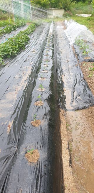 박선화님의 자유주제 · 자유게시판 작성글 사진