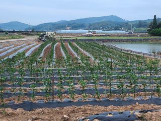 박준호님의 자유주제 · 사진전 작성글 사진
