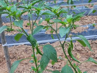 박준호님의 자유주제 · 사진전 작성글 사진