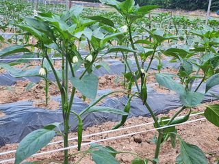 박준호님의 자유주제 · 사진전 작성글 사진