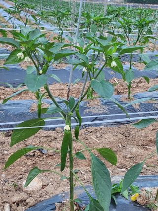 박준호님의 자유주제 · 사진전 작성글 사진