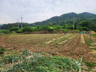 장재갑님의 파 · 영농일지 작성글 사진