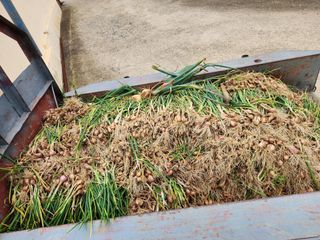 장재갑님의 파 · 영농일지 작성글 사진