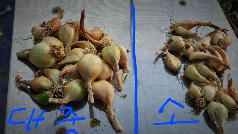 장터 상품 [판매 종료] 썸네일