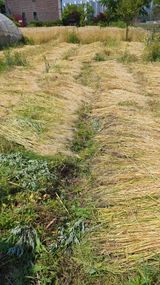 팜모닝 자유주제·자유게시판 게시글 이미지