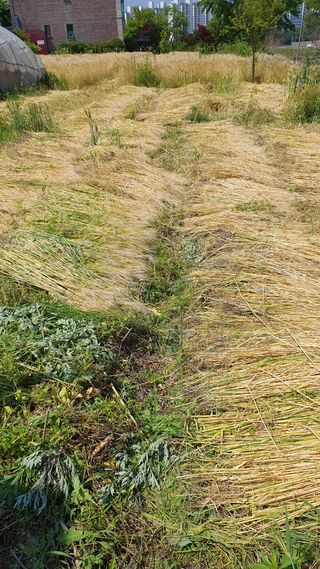 황의성님의 자유주제 · 자유게시판 작성글 사진