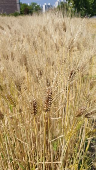 황의성님의 자유주제 · 자유게시판 작성글 사진