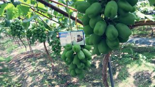 포도님의 자유주제 · 자유게시판 작성글 사진