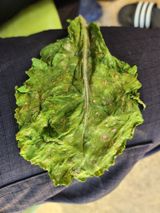 팜모닝 상추·병해충상담 게시글 이미지