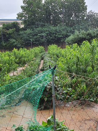 채씨아저씨님의 팜모닝 · 출석 작성글 사진