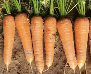 미야님의 작성글 사진