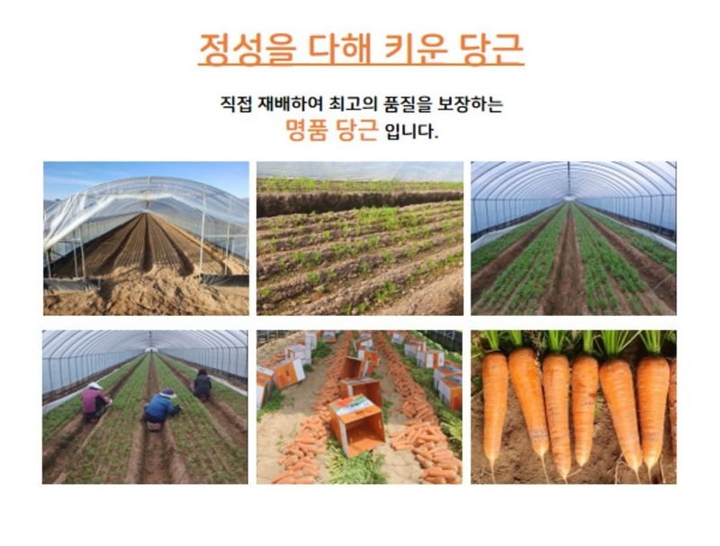 미야님의 장터 판매 상품 [경남 하우스 당근 5kg 10kg] 첨부 사진