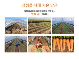 미야님의 작성글 사진