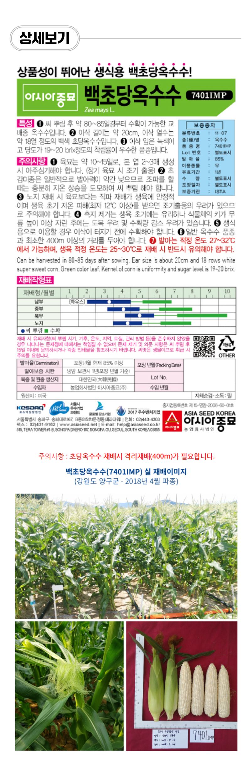팜모닝 상점님의 장터 판매 상품 [[아시아종묘] 백초당옥수수 씨앗종자 100립] 첨부 사진
