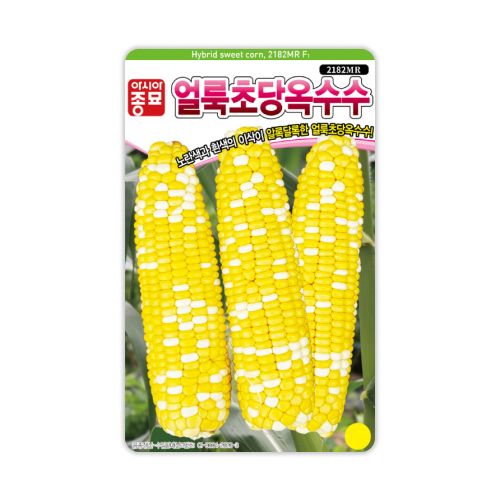 장터 상품 [[아시아종묘] 얼룩초당옥수수 씨앗종자 100립] 썸네일