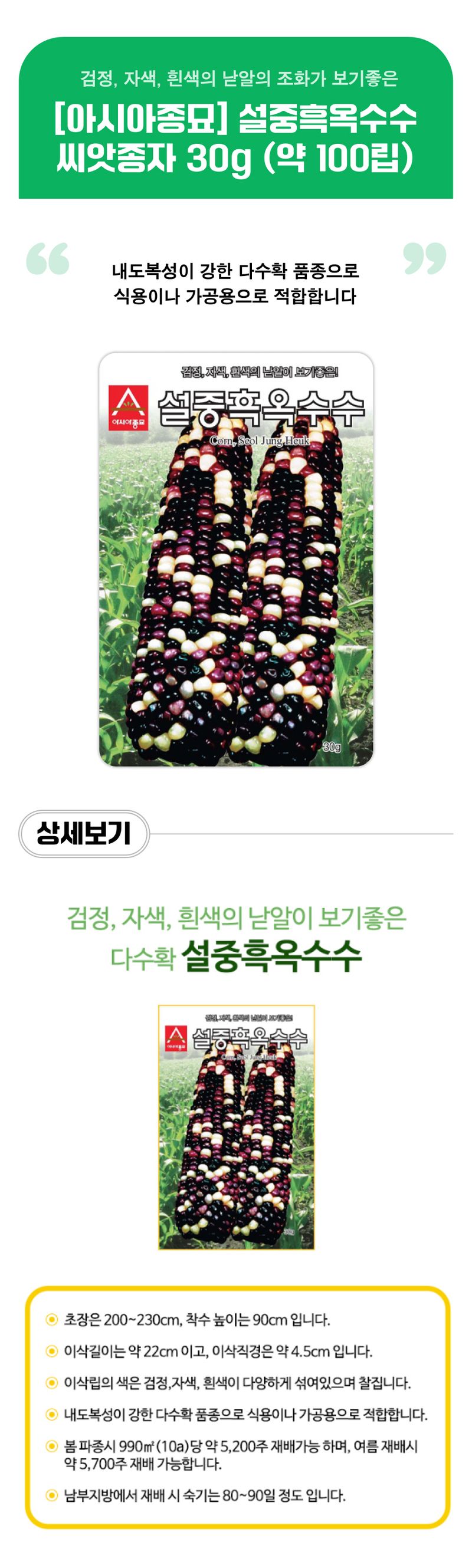 팜모닝 상점님의 장터 판매 상품 [[아시아종묘] 설중흑옥수수 씨앗종자 30g (약 100립)] 첨부 사진