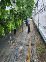 팜모닝 팜모닝·출석 게시글 이미지