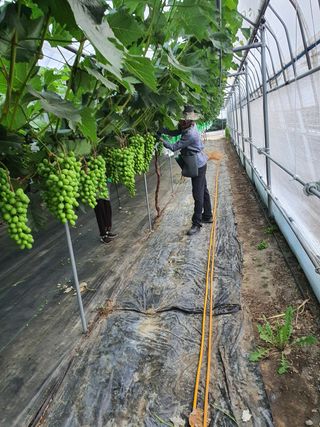 성윤제님의 팜모닝 · 출석 작성글 사진
